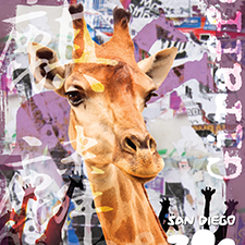 Grunge Giraffe
