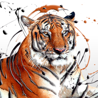 Tiger INSPIRE