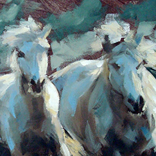 Horses